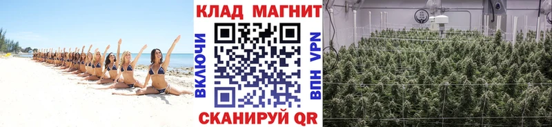Магазин наркотиков Гурьевск Галлюциногенные грибы  МЕФ  ГАШ  ТГК  МАРИХУАНА 